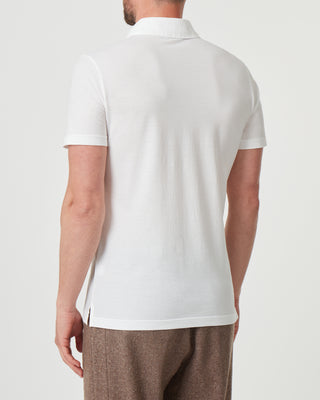 Cotton polo <tc>Artic</tc>
