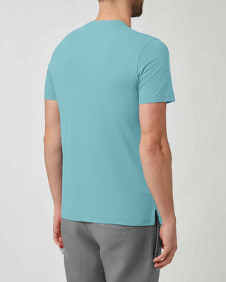 Cotton Crewneck T-Shirt <tc>ARTIC</tc>