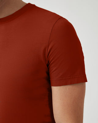 Cotton Crewneck T-Shirt <tc>Artic</tc>